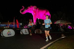 BIB: 
                            <button type="button" onclick="openModal(26542938)" class="btn btn-primary btn-sm float-right btn-popup" data-toggle="modal" data-target=".modal-high-quality">
                        <i class="fas fa-shopping-cart"></i> Add to Cart
                    </button>
                                            <button type="button" onclick="isThisMe(26542938, true)" class="btn btn-success btn-sm float-right btn-popup btn-isme hidden" data-toggle="tooltip" data-placement="bottom" title="นี่คือรูปของคุณใช่ไหม คลิกที่นี่เพื่อเอาเข้าอัลบั้ม">
                        <i class="fas fa-plus"></i> Add to album
                    </button>
                    <button type="button" onclick="isThisMe(26542938, false)" class="btn btn-warning btn-sm float-right btn-popup btn-isnotme hidden">
                        <i class="fas fa-ban"></i> Remove from album
                    </button>